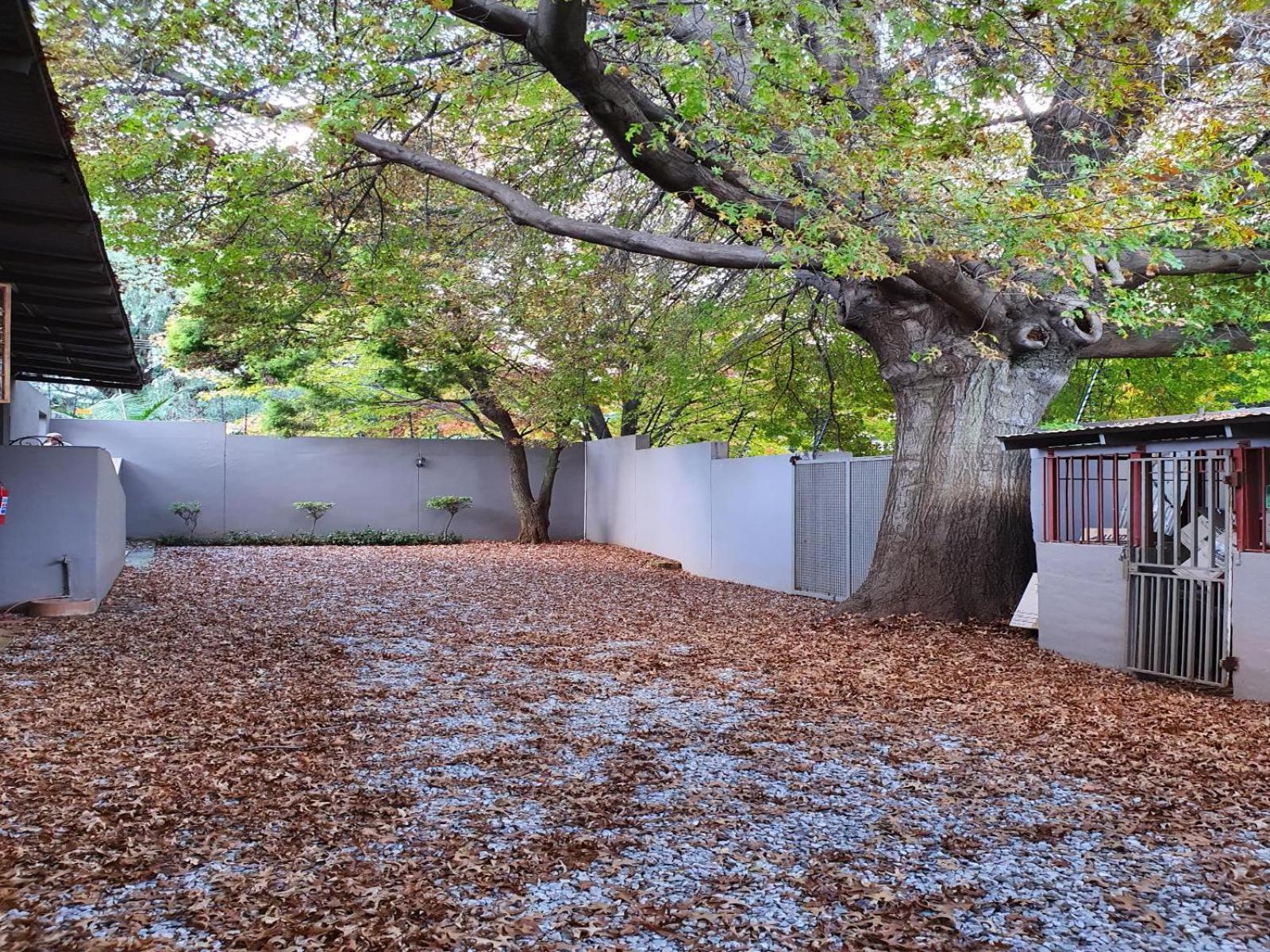 7Th Street Guesthouse Johannesburg Exteriér fotografie